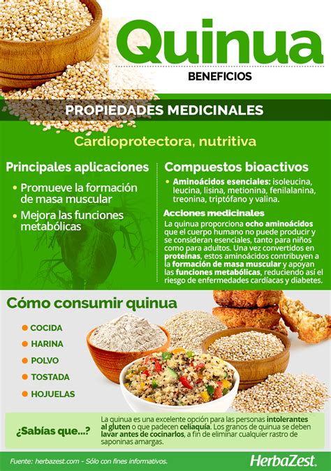 Infografía sobre los beneficios nutricionales de la quinua
