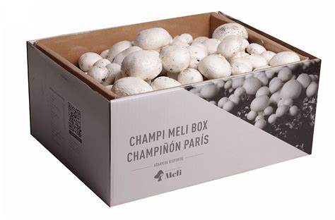 Kit de cultivo de champiñones en casa
