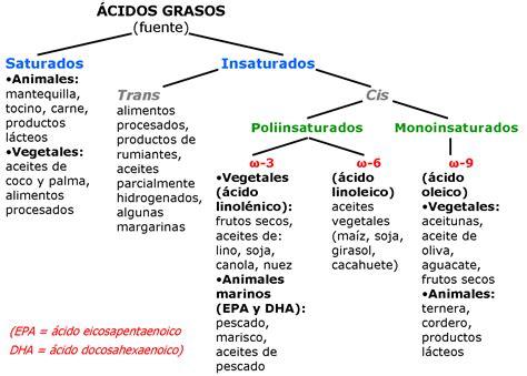 esquema del impacto de los ácidos grasos insaturados en la salud cardiovascular