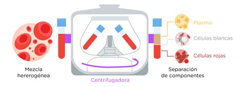 Esquema de un sistema de coagulación, centrifugación y secado de sangre, mostrando la separación mecánica de agua.