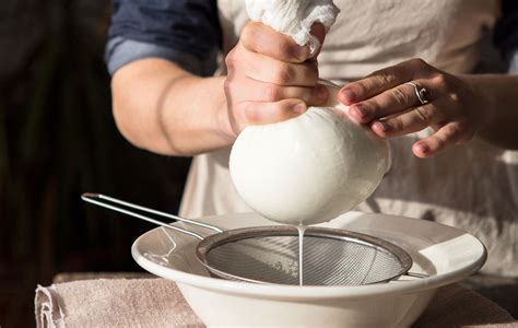 Esquema de los ingredientes principales para hacer queso Brie: leche, fermentos, mohos (Penicillium candida), cuajo y sal.