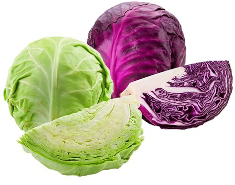 Variedad de repollos de colores para una ensalada atractiva.