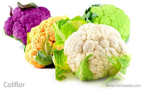 Galería de imágenes mostrando las diferentes variedades de coliflor (blanca, rosa, amarilla, verde).