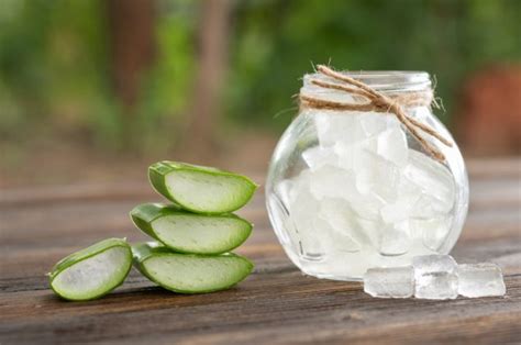 Cubitos de hielo de gel de aloe vera congelado