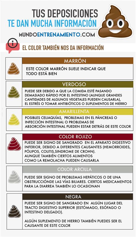 Infografía mostrando los diferentes colores de las heces y sus posibles significados.