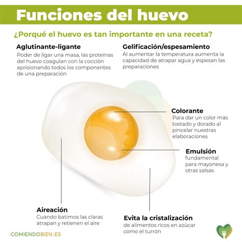 Esquema de las funciones del huevo en la repostería (aglutinante, aire, humedad, sabor)