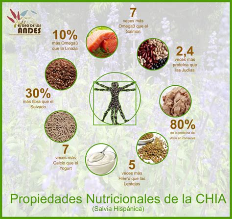 Esquema de los beneficios nutricionales de la chía o foto de semillas de chía