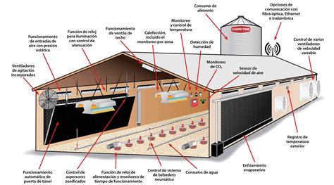 Esquema de un corral para pollos de engorde con sus componentes clave.