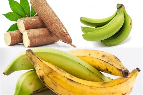 Esquema de los ingredientes principales: plátano verde, maní, pescado o camarón y el refrito base