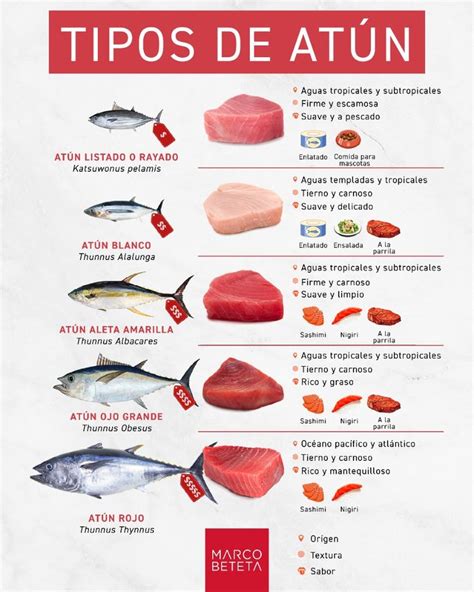 infografía comparativa de los tipos de atún y sus características nutricionales