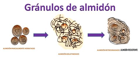 Infografía sobre el proceso de formación del almidón resistente en el arroz al enfriarse.