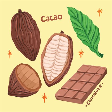 Ilustración de un grano de cacao y su evolución desde bebida maya hasta barra de chocolate
