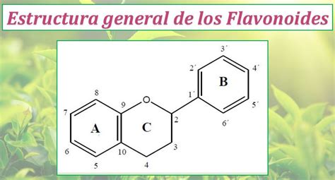 Diagrama que muestra la estructura molecular de los flavonoides y su acción antiinflamatoria.