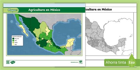 Mapa mostrando las principales regiones de cultivo de apio en México.