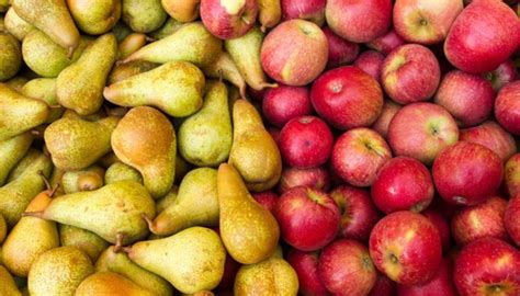 Fotografía de manzanas y peras recién cosechadas en un huerto de Río Negro
