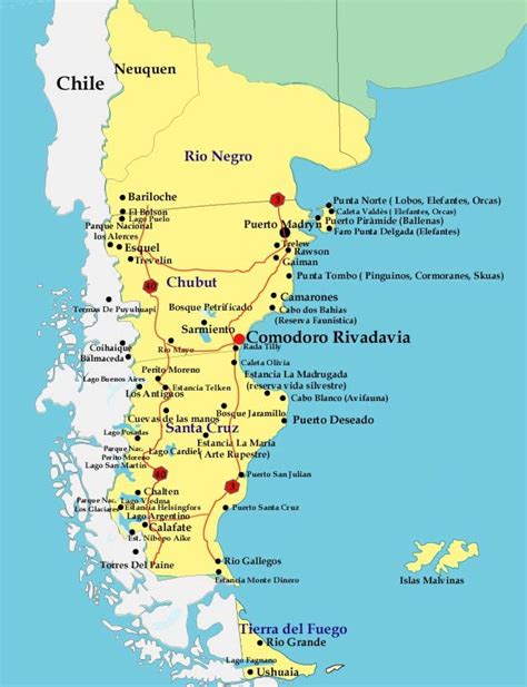 Mapa de la Patagonia con puntos clave de pesca de salmón encerrado, o una infografía sobre la genética del salmón.