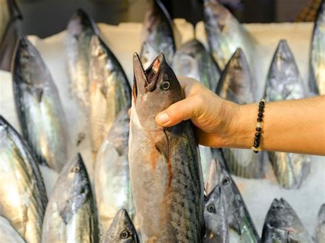 Chef seleccionando pescado fresco en un mercado