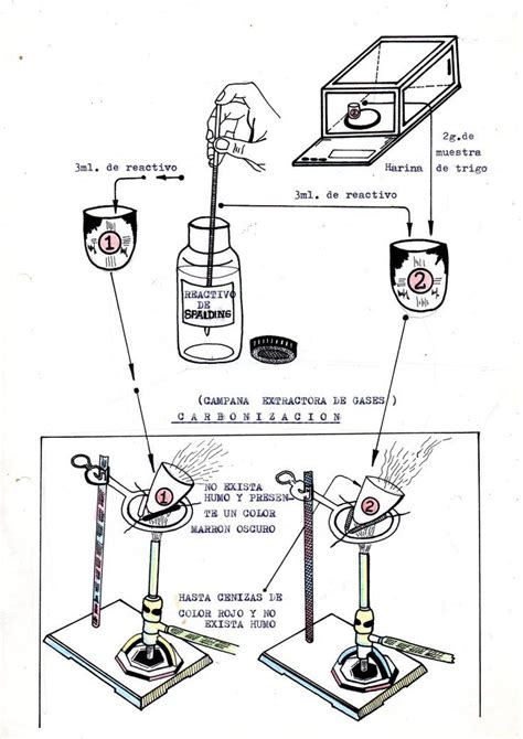 Esquema de un laboratorio con mufla y crisoles para determinación de cenizas