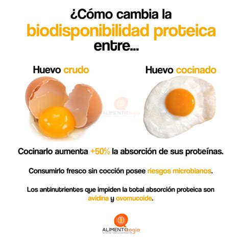Gráfico con advertencias sobre el uso de huevo crudo y la importancia de consultar a un dermatólogo