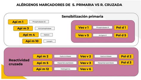 esquema de reactividad cruzada entre alérgenos