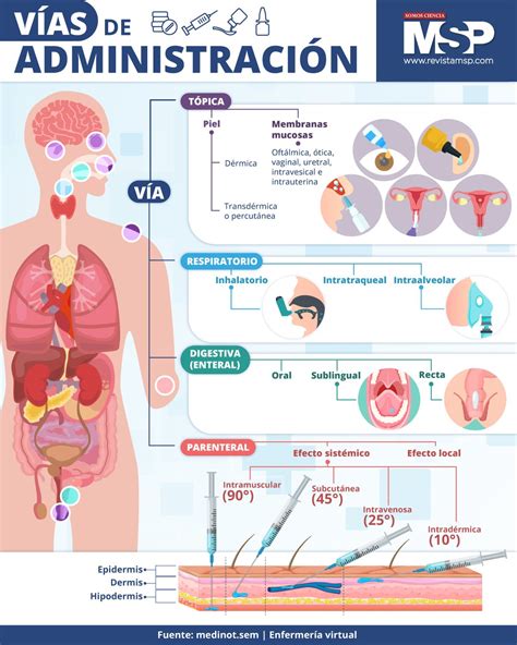 Esquema de las vías hormonales afectadas en el SOP y cómo actúan los medicamentos