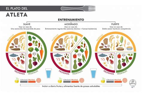 Esquema: Distribución de macronutrientes en el plato del deportista vegetariano.