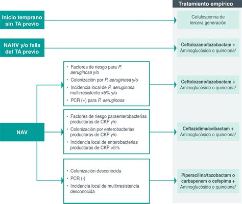 Diagrama que muestra las opciones de tratamiento para diversas condiciones anorrectales, incluyendo cirugía, medicación y cambios dietéticos.