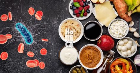 Esquema del ciclo de vida y peligro de Bacillus cereus en alimentos