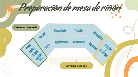 Esquema de los vegetales necesarios para la preparación cortados y organizados en la mesa