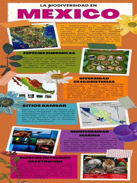 Infografía sobre la biodiversidad marina y las principales zonas de pesca en México