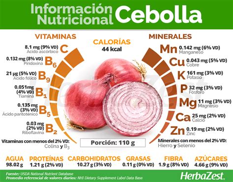 Esquema nutricional de la cebolla: desglose de agua, fibra, vitaminas y compuestos azufrados