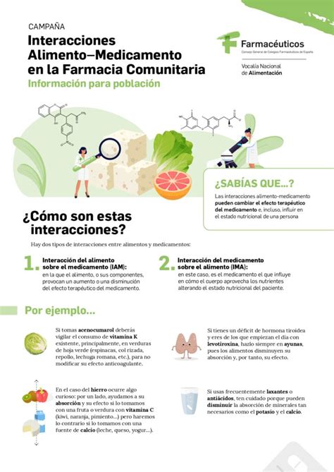 Esquema de las vías de interacción entre alimentos y medicamentos en el cuerpo humano