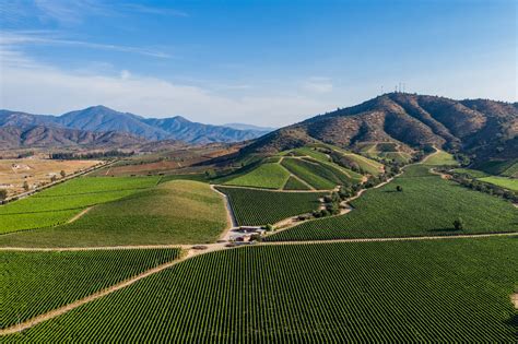 Campo en Casablanca, Chile