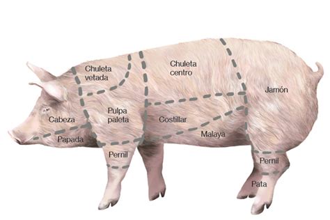 Ilustración de cerdo o chancho a la chilena