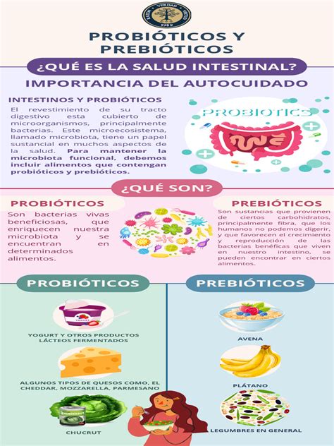 Infografía sobre los probióticos y la salud intestinal
