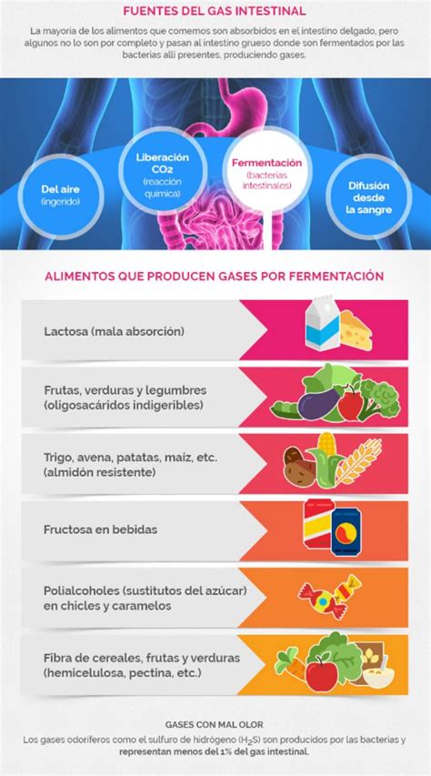 Infografía: Causas comunes de gases intestinales