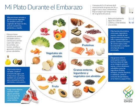 Infografía de un plato con alimentos saludables recomendados durante el embarazo.