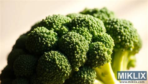 Primer plano de floretes de brócoli fresco
