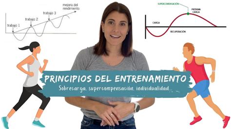 Infografía: Ciclo de progresión en el entrenamiento (definición de objetivos, selección de ejercicios, adaptación y monitoreo)