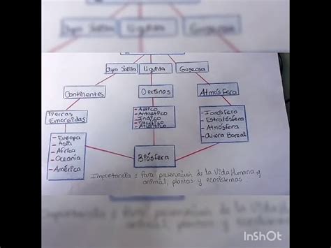 Esquema visual detallado de cómo se organizan las capas de mariscos, carnes, papas y hojas en un curanto en hoyo
