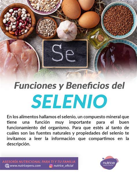 Infografía detallando los beneficios del selenio, la fibra soluble y el zinc en la dieta canina.
