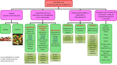 Esquema visual de los ingredientes principales del alimento Cachupín Adulto y su función nutricional.