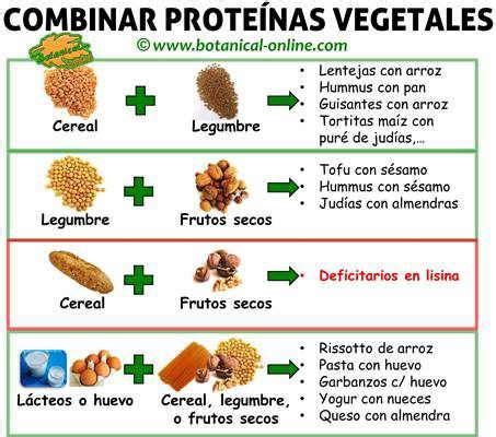 Infografía: Complementación proteica entre legumbres y cereales