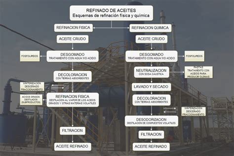 Infografía general del proceso de refinación de aceites comestibles, mostrando las etapas principales: desgomado, desacidificación, blanqueo y desodorización.