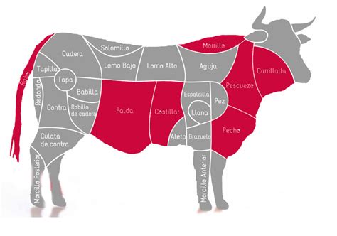 Cortes de carne de vacuno adecuados para rellenar, como aguja o falda de ternera