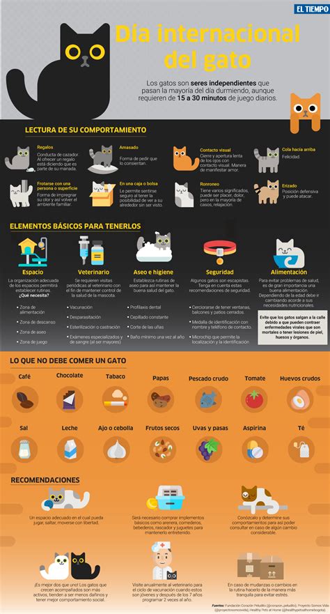 Infografía: Ingredientes tóxicos para gatos presentes en galletas