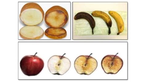 Esquema simplificado de la reacción de pardeamiento enzimático en una manzana cortada, mostrando la acción del oxígeno sobre fenoles y enzimas.