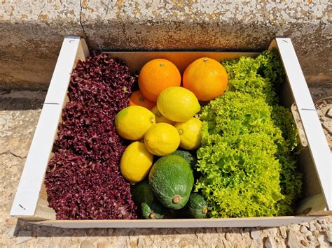 Infografía que muestra una cesta de productos de invierno con cítricos, crucíferas y hortalizas de raíz