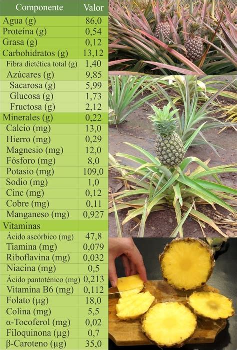 Infografía mostrando la composición nutricional de la cáscara de piña, resaltando fibra, bromelina, vitamina C y manganeso