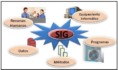 Esquema de los componentes de una marinada: ácido, aceite, especias y sal.